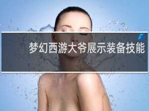 梦幻西游大爷展示装备技能