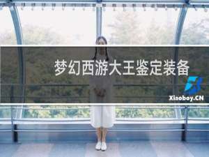 梦幻西游大王鉴定装备