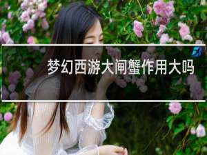 梦幻西游大闸蟹作用大吗