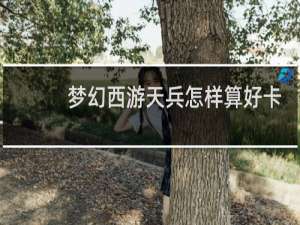 梦幻西游天兵怎样算好卡