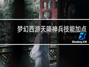 梦幻西游天降神兵技能加点