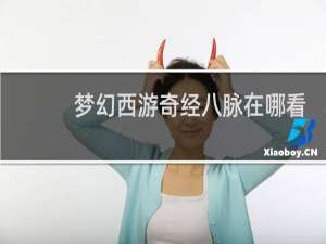 梦幻西游奇经八脉在哪看