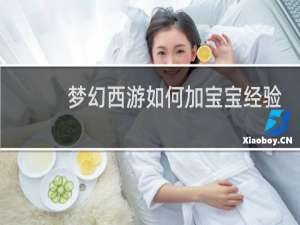 梦幻西游如何加宝宝经验
