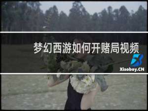 梦幻西游如何开赌局视频