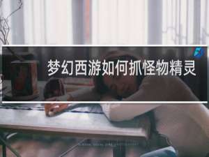 梦幻西游如何抓怪物精灵