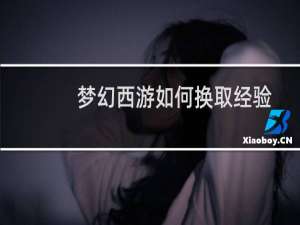 梦幻西游如何换取经验