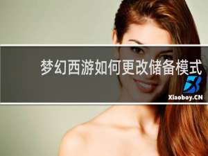 梦幻西游如何更改储备模式