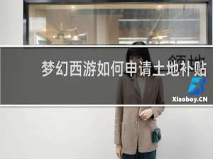 梦幻西游如何申请土地补贴