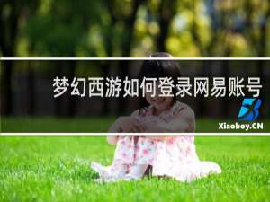 梦幻西游如何登录网易账号