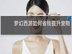 梦幻西游如何省钱提升宠物