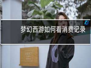 梦幻西游如何看消费记录