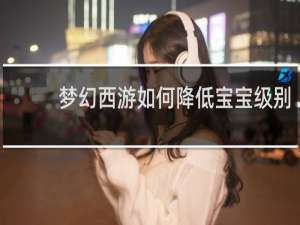 梦幻西游如何降低宝宝级别