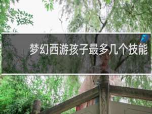 梦幻西游孩子最多几个技能
