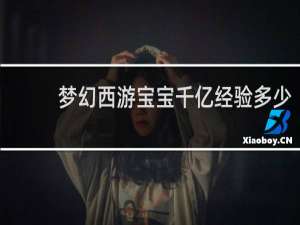 梦幻西游宝宝千亿经验多少