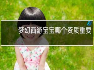梦幻西游宝宝哪个资质重要