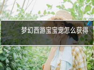 梦幻西游宝宝宠怎么获得