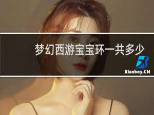 梦幻西游宝宝环一共多少