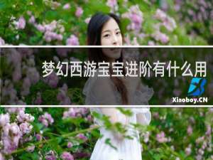 梦幻西游宝宝进阶有什么用