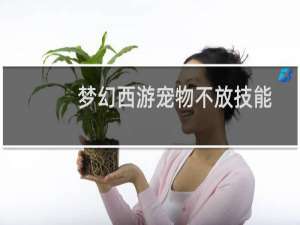 梦幻西游宠物不放技能