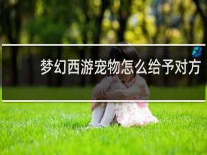 梦幻西游宠物怎么给予对方
