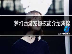 梦幻西游宠物技能介绍集锦