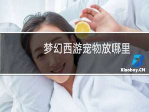 梦幻西游宠物放哪里