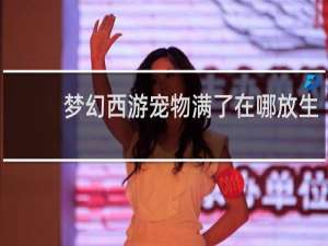 梦幻西游宠物满了在哪放生