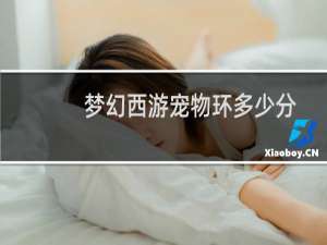 梦幻西游宠物环多少分