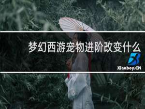 梦幻西游宠物进阶改变什么