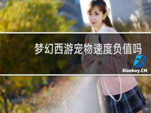 梦幻西游宠物速度负值吗