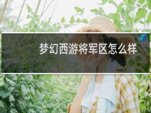 梦幻西游将军区怎么样