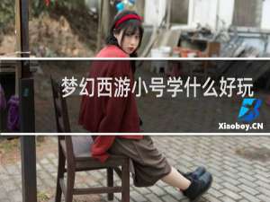 梦幻西游小号学什么好玩