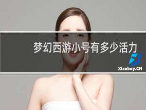 梦幻西游小号有多少活力