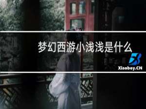梦幻西游小浅浅是什么