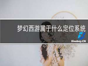 梦幻西游属于什么定位系统