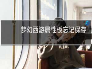梦幻西游属性板忘记保存