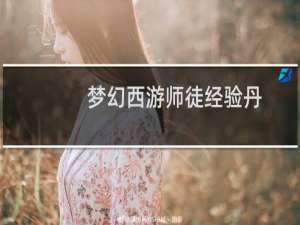 梦幻西游师徒经验丹