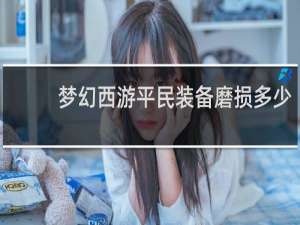 梦幻西游平民装备磨损多少