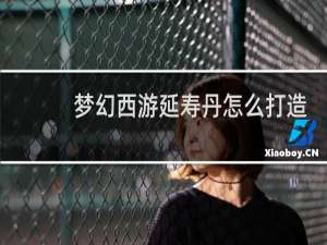 梦幻西游延寿丹怎么打造