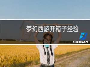 梦幻西游开箱子经验