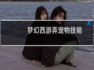 梦幻西游弄宠物技能