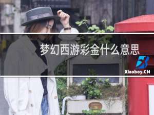 梦幻西游彩金什么意思