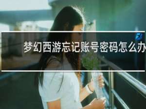 梦幻西游忘记账号密码怎么办