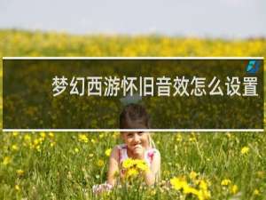 梦幻西游怀旧音效怎么设置
