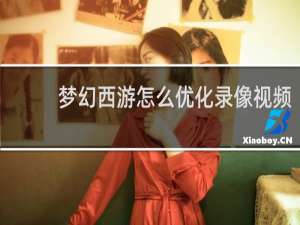 梦幻西游怎么优化录像视频