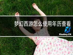 梦幻西游怎么使用年历查看