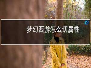 梦幻西游怎么切属性