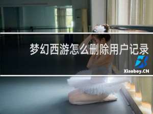 梦幻西游怎么删除用户记录