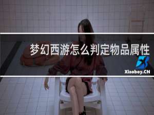 梦幻西游怎么判定物品属性