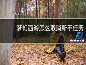梦幻西游怎么取消新手任务